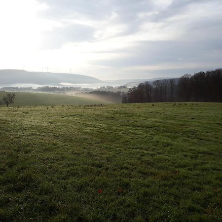 Stadtprozelten Ellernhof Im Spessart 빌라 외부 사진