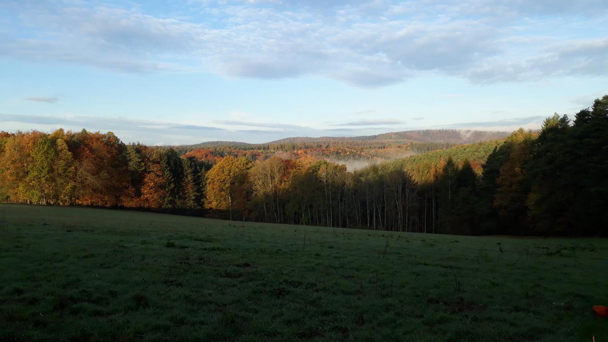 Stadtprozelten Ellernhof Im Spessart 빌라 외부 사진